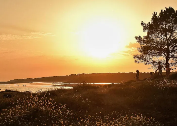 Les Bosquets 82 Hébergement de vacances *